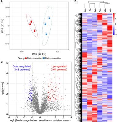 High Serpin Family A Member 10 Expression Confers Platinum Sensitivity and Is Associated With Survival Benefit in High-Grade Serous Ovarian Cancer: Based on Quantitative Proteomic Analysis